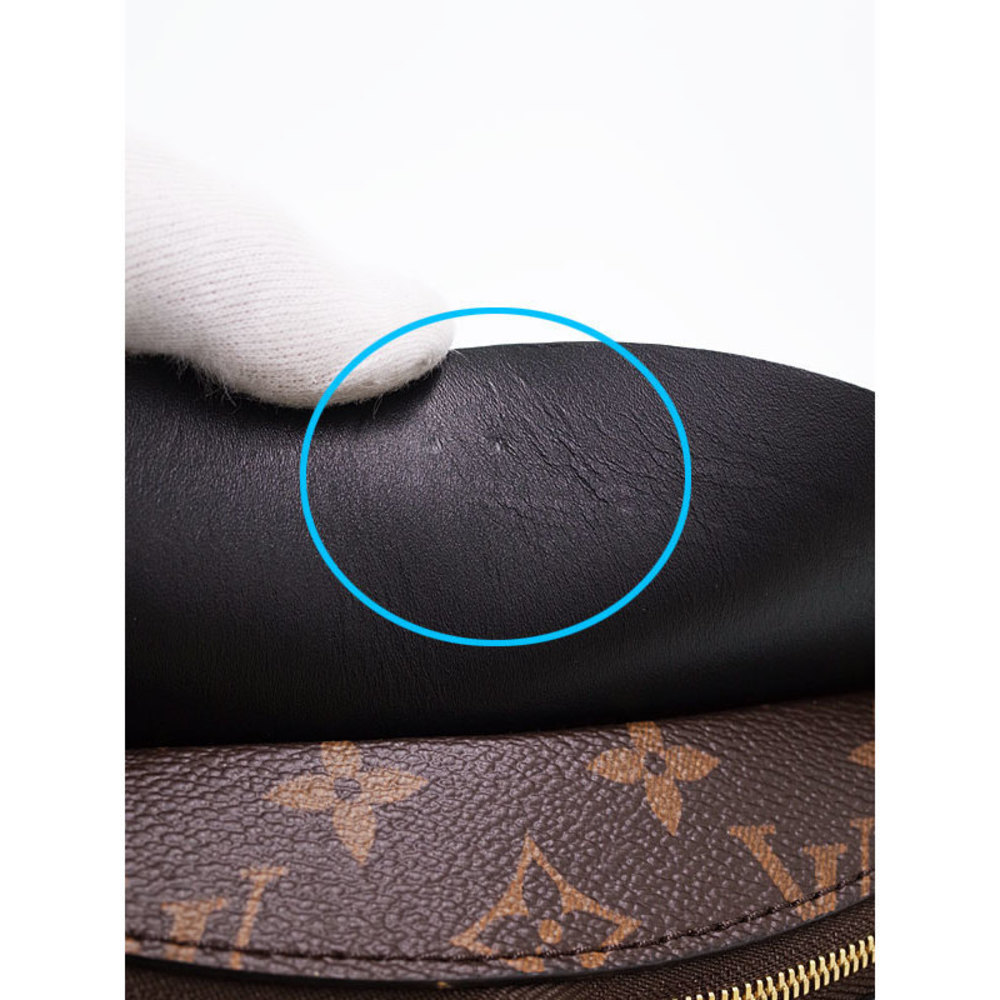 Louis Vuitton Tuileries Tote Handbag Monogram - Picture 8 of 8